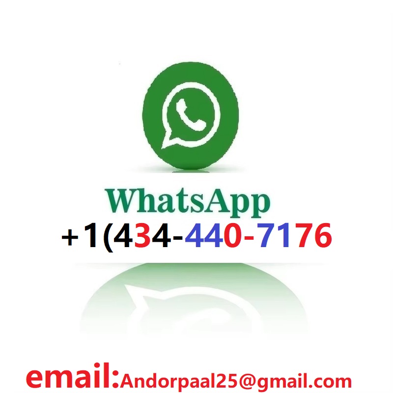 Game One - Kartu Grafis AMD Ra - Rx 9070 16Gb ulasan dan harga